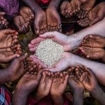 Segurança alimentar, um problema de saúde… mas também de geopolítica